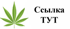 Купить наркотики в Егорьевске